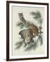 Mottled Owl, 1830-John James Audubon-Framed Giclee Print