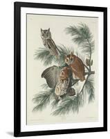 Mottled Owl, 1830-John James Audubon-Framed Giclee Print