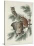 Mottled Owl, 1830-John James Audubon-Stretched Canvas