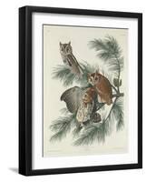 Mottled Owl, 1830-John James Audubon-Framed Giclee Print