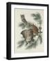 Mottled Owl, 1830-John James Audubon-Framed Giclee Print