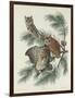 Mottled Owl, 1830-John James Audubon-Framed Giclee Print