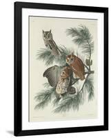 Mottled Owl, 1830-John James Audubon-Framed Giclee Print