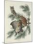 Mottled Owl, 1830-John James Audubon-Mounted Giclee Print