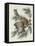 Mottled Owl, 1830-John James Audubon-Framed Stretched Canvas