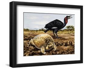 Mottled Shovel-Nosed Frog (Hemisus Marmoratus), Hemisotidae-null-Framed Giclee Print