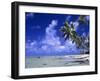 Motu Mote Bora Bora-Ron Whitby Photography-Framed Photographic Print