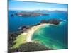 Motuarohia Island, Roberton Island, Bay of Islands, Northland, New Zealand-David Wall-Mounted Photographic Print