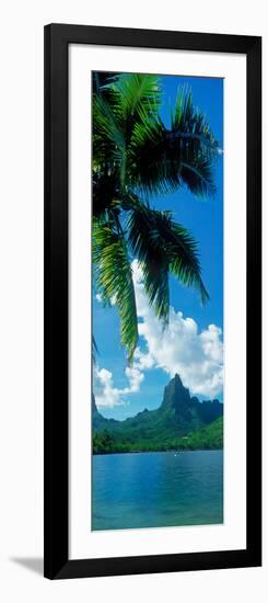 Mouaroa Peak Over, Opunohu Bay, Moorea, Tahiti, Society Islands, French Polynesia-null-Framed Photographic Print