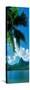 Mouaroa Peak Over, Opunohu Bay, Moorea, Tahiti, Society Islands, French Polynesia-null-Stretched Canvas