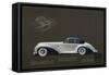 Mouette 135/5495 Motor Car, 1930, by Delahaye, Design by Henri Chapron, France, 20th Century-null-Framed Stretched Canvas