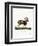 Mouflon-null-Framed Premium Giclee Print