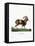 Mouflon-null-Framed Stretched Canvas