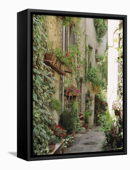 Mougins, Alpes Maritime, Cote d'Azur, Provence, France-J P De Manne-Framed Stretched Canvas