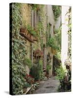 Mougins, Alpes Maritime, Cote d'Azur, Provence, France-J P De Manne-Stretched Canvas