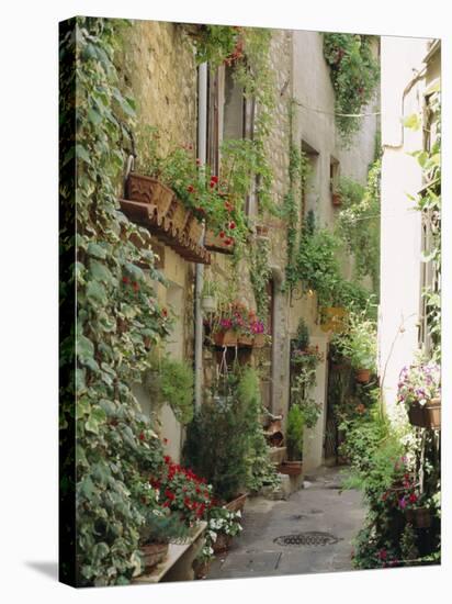 Mougins, Alpes Maritime, Cote d'Azur, Provence, France-J P De Manne-Stretched Canvas