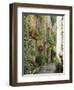 Mougins, Alpes Maritime, Cote d'Azur, Provence, France-J P De Manne-Framed Photographic Print