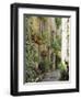 Mougins, Alpes Maritime, Cote d'Azur, Provence, France-J P De Manne-Framed Photographic Print