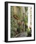 Mougins, Alpes Maritime, Cote d'Azur, Provence, France-J P De Manne-Framed Photographic Print