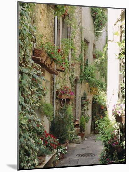 Mougins, Alpes Maritime, Cote d'Azur, Provence, France-J P De Manne-Mounted Photographic Print