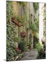 Mougins, Alpes Maritime, Cote d'Azur, Provence, France-J P De Manne-Mounted Photographic Print