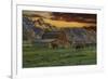 Moulton Barn at Sunrise with Bison-Galloimages Online-Framed Photographic Print