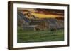 Moulton Barn at Sunrise with Bison-Galloimages Online-Framed Photographic Print