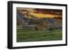 Moulton Barn at Sunrise with Bison-Galloimages Online-Framed Photographic Print