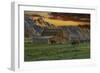 Moulton Barn at Sunrise with Bison-Galloimages Online-Framed Photographic Print