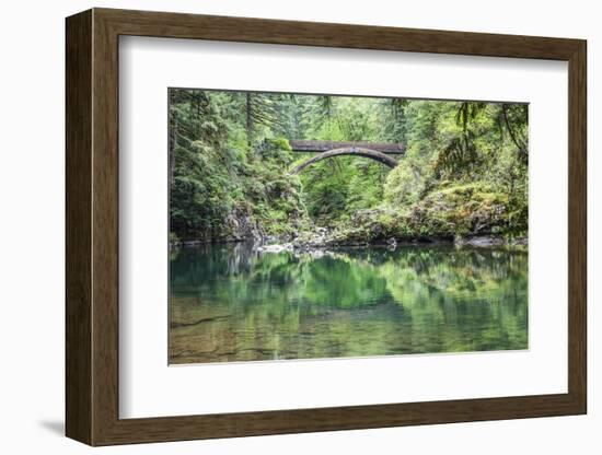 Moulton Falls Regional Park, Yacolt, WA. Moulton Falls Bridge over the East Fork Lewis River-Emily Wilson-Framed Photographic Print