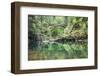 Moulton Falls Regional Park, Yacolt, WA. Moulton Falls Bridge over the East Fork Lewis River-Emily Wilson-Framed Photographic Print