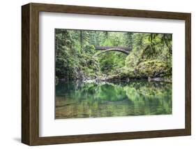 Moulton Falls Regional Park, Yacolt, WA. Moulton Falls Bridge over the East Fork Lewis River-Emily Wilson-Framed Photographic Print