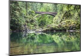 Moulton Falls Regional Park, Yacolt, WA. Moulton Falls Bridge over the East Fork Lewis River-Emily Wilson-Mounted Photographic Print