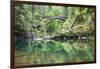 Moulton Falls Regional Park, Yacolt, WA. Moulton Falls Bridge over the East Fork Lewis River-Emily Wilson-Framed Photographic Print