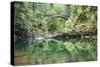 Moulton Falls Regional Park, Yacolt, WA. Moulton Falls Bridge over the East Fork Lewis River-Emily Wilson-Stretched Canvas