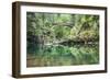 Moulton Falls Regional Park, Yacolt, WA. Moulton Falls Bridge over the East Fork Lewis River-Emily Wilson-Framed Photographic Print