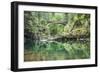 Moulton Falls Regional Park, Yacolt, WA. Moulton Falls Bridge over the East Fork Lewis River-Emily Wilson-Framed Photographic Print