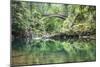 Moulton Falls Regional Park, Yacolt, WA. Moulton Falls Bridge over the East Fork Lewis River-Emily Wilson-Mounted Photographic Print