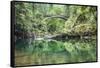 Moulton Falls Regional Park, Yacolt, WA. Moulton Falls Bridge over the East Fork Lewis River-Emily Wilson-Framed Stretched Canvas