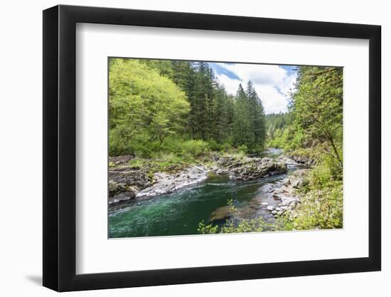 Moulton Falls Regional Park, Yacolt, Washington. Rocky channel of the East Fork Lewis River.-Emily Wilson-Framed Photographic Print