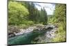 Moulton Falls Regional Park, Yacolt, Washington. Rocky channel of the East Fork Lewis River.-Emily Wilson-Mounted Photographic Print