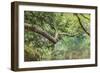 Moulton Falls Regional Park, Yacolt, Washington State, USA. Reflections in the East Fork Lews River-Emily Wilson-Framed Photographic Print