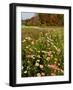 Moulton Farm in Meredith, New Hampshire, USA-Jerry & Marcy Monkman-Framed Photographic Print