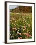 Moulton Farm in Meredith, New Hampshire, USA-Jerry & Marcy Monkman-Framed Photographic Print