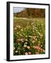 Moulton Farm in Meredith, New Hampshire, USA-Jerry & Marcy Monkman-Framed Photographic Print