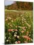 Moulton Farm in Meredith, New Hampshire, USA-Jerry & Marcy Monkman-Mounted Photographic Print