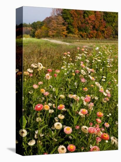 Moulton Farm in Meredith, New Hampshire, USA-Jerry & Marcy Monkman-Stretched Canvas