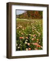 Moulton Farm in Meredith, New Hampshire, USA-Jerry & Marcy Monkman-Framed Photographic Print