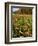 Moulton Farm in Meredith, New Hampshire, USA-Jerry & Marcy Monkman-Framed Photographic Print