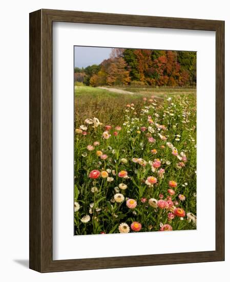 Moulton Farm in Meredith, New Hampshire, USA-Jerry & Marcy Monkman-Framed Photographic Print